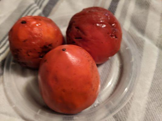 Ripened Hachiya persimmons, shelter in place