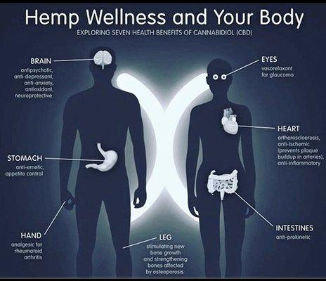 Hemp Wellness Chart... Health is Important.. Reduces pain.