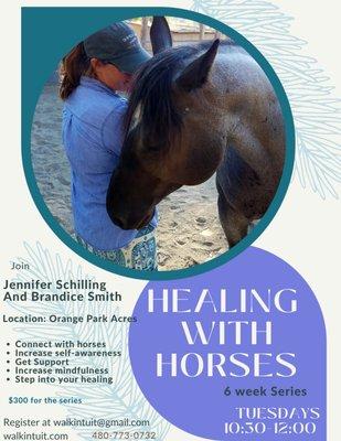 Healing With Horses Group offered. Email us to see when the next one is being offered.