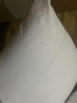 one of the spots on a pillow