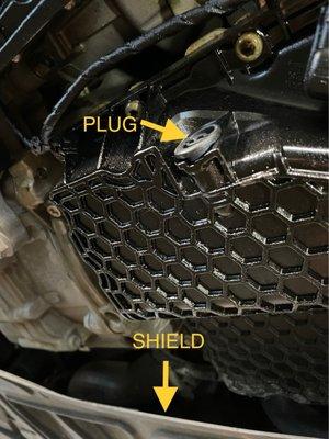 Oil drain plug/edge of front shield.