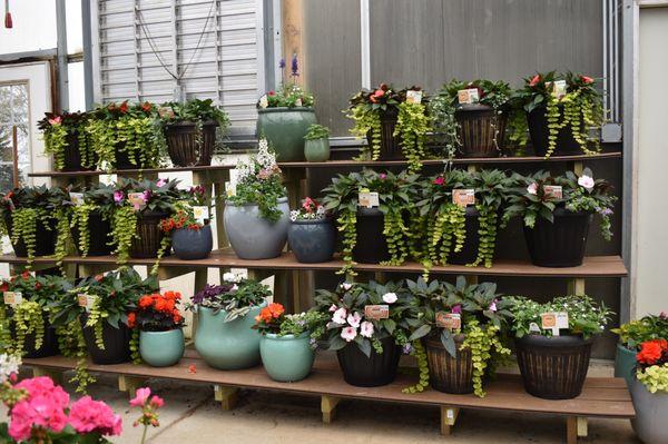 Custom planted shade containers