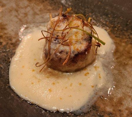 Pan Seared Atlantic Sea Scallop w/ Broiled Leek Cream, Shaved Bottarga, Crispy Leeks