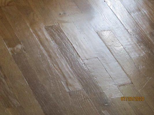 Rough transition from refinished damaged area to original flooring