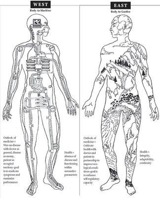 Holistic Wellness model