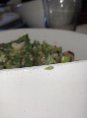 Worm in salad