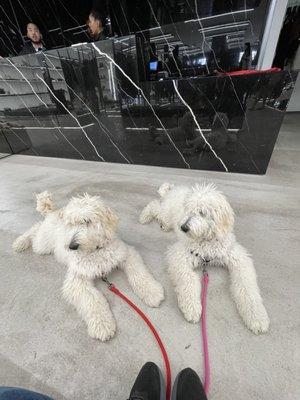 Two girls shopping, not as glamorous as they could be.