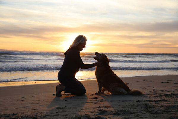 Dog Beach allows you to have your fur family at the photo session!