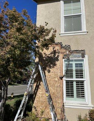 Stucco & Frame repair