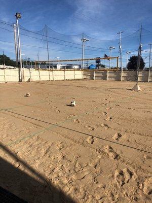 One of 7 volleyball  courts