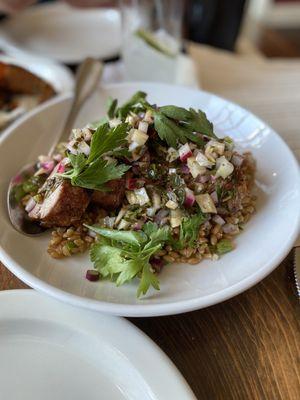 Niman ranch pork tenderloin, peaches, fennel, Hayden flour mills farro ($40)