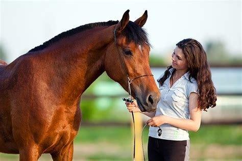 Equine Insurance