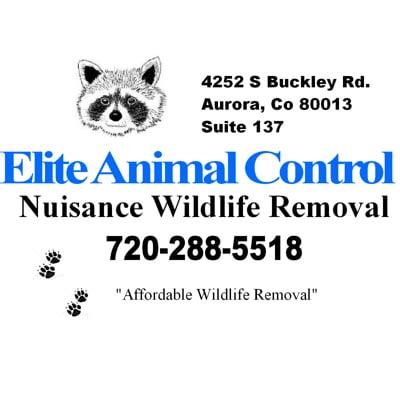 Nuisance Wildlife Removal Service of Denver