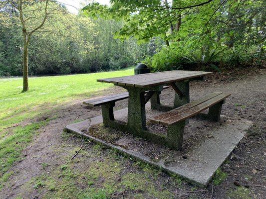 Picnic area overlooking the meadow and wetland.