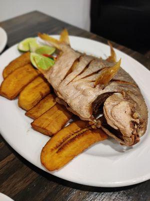 Pescado frito