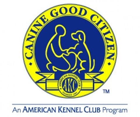 Canine Good Citizen Testing done by Certified CGC Evaluator Jennifer Swiatek