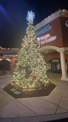 Holiday Tree at SoulBody Yoga and Wellness