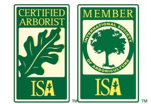 ISA Certified Arborist