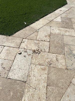 Dirt/debris left on walkway.