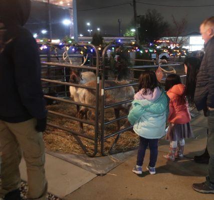 The kiddos enjoying their visit with the reindeer.