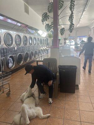 Nube taking a break from rigorous wash & fold duty