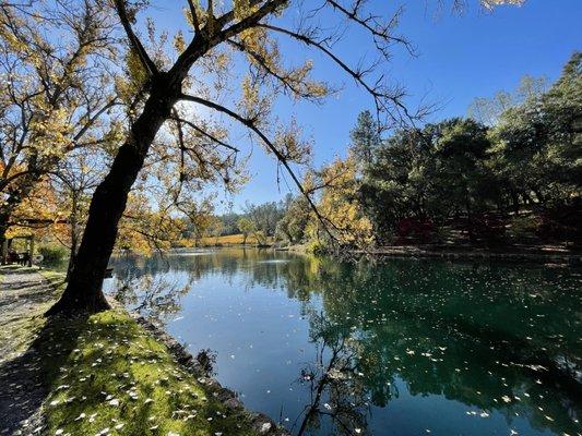 Wine tasting by the pond