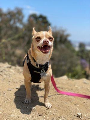 A happy boy!