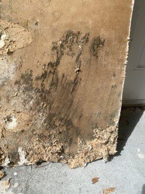 The mold on the removed plaster caused by improper AC installation dripping