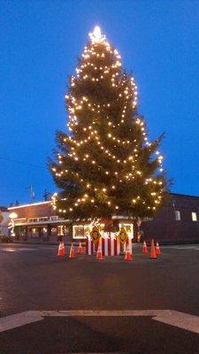 Who doesn't love a Christmas Tree as a roundabout?