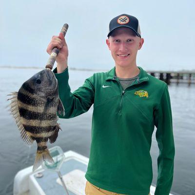 Sheepshead fishing is on fire now!