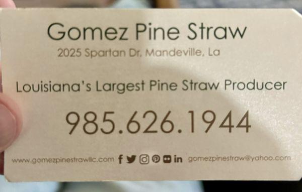 Gomez Pine Straw