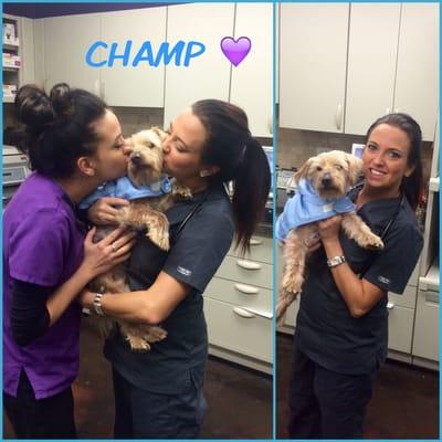 "Champ" a very lucky rescue pup before his leg amputation by Dr.K! He's doing great now and has a forever home!