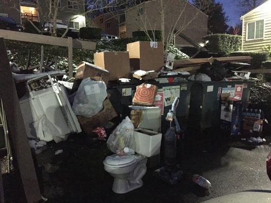 Here's what the dumpster in the parking lot looks like. Very charming