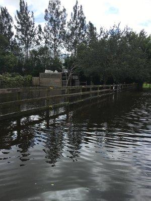 Totally flooded! Barn roof leaks!