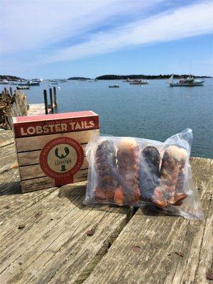 Greenhead Lobster has Stonington-caught frozen tails available as well! Taste the sweetness of Stonington lobster with less hassle!