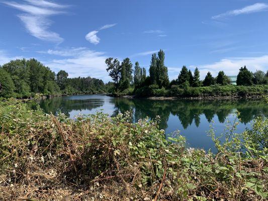 River on a summer day.