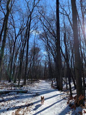 My dog at Waterloo Recreation Area!