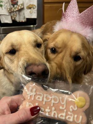 Her buddy Buck wanted in on the birthday cookie action.