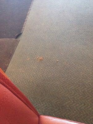 Is that dog poop next to my table? Gross