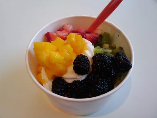 Original Tart Yogurt w/ Fresh Fruit Toppings at Yogurt Story in Denton, TX