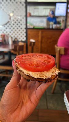 Everything bagel toasted with cream cheese and tomato