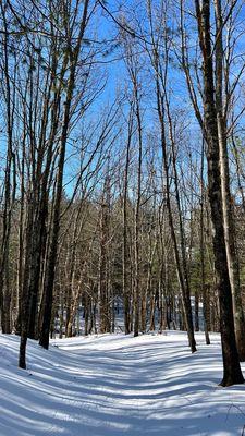 Fruitlands Museum