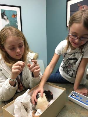 Pepper and his sweet entourage in the exam room