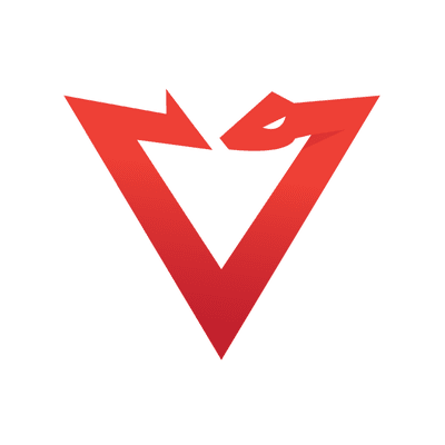 PacketViper® logo icon