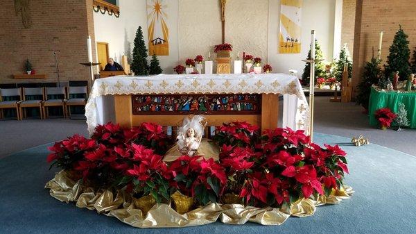 I talked to a lady that's in charge of the flowers they had over a hundred poinsettias delivered for decoration