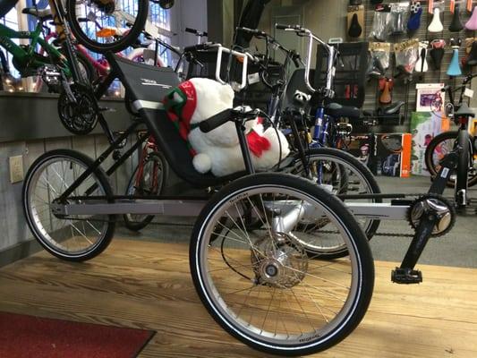 We carry recumbent "tadpole" trikes by Catrike and Terratrike.