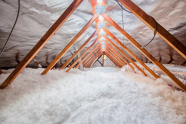 Whats in your attic?