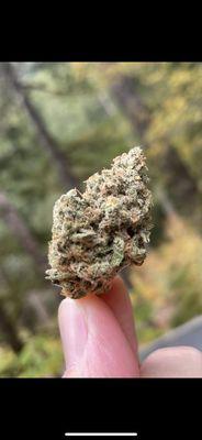 This is legal marijuana that I bought from THIS business.  For whoever reported my list pic, suck one!