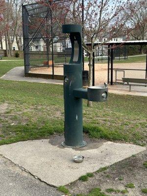 Water fountain (with small dog bowl)