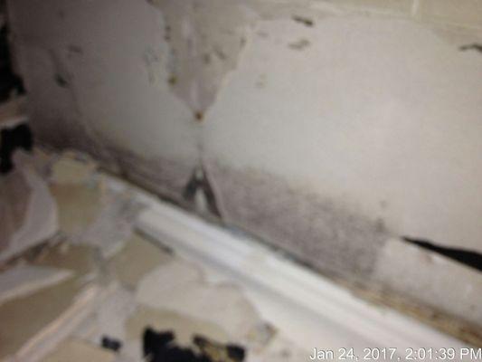 Mold damage in shower